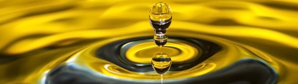 Купить подсолнечное масло оптом в Украине